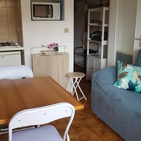 Cozy Avec Loggia A 2 Pas De La Plage, Parking Inclus - - Fr-1-251-714 * ボルム・レ・ミモザ