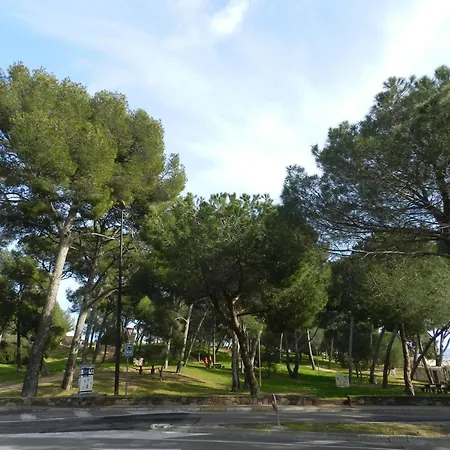 Cozy Avec Loggia A 2 Pas De La Plage, Parking Inclus - - Fr-1-251-714 * ボルム・レ・ミモザ